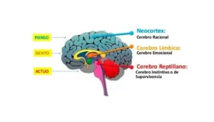 qué es el neuromarketing 