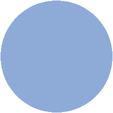 blue circle icon11